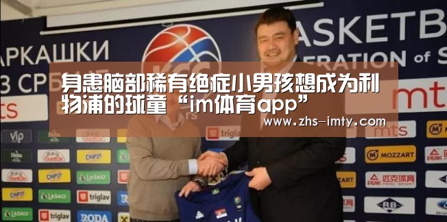 im体育app