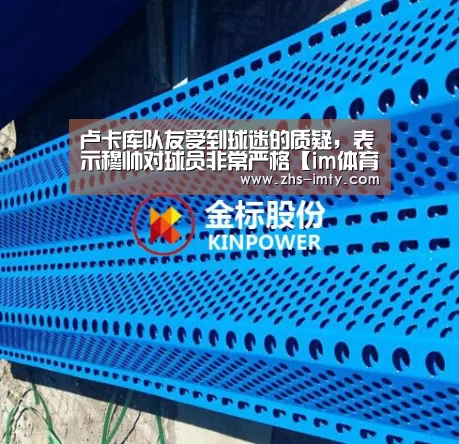 卢卡库队友受到球迷的质疑,表示穆帅对球员非常严格【im体育app】(图2) im体育app